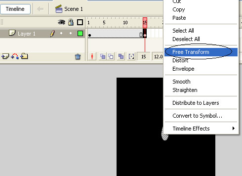 Flash - Water drop effect Picture 5
