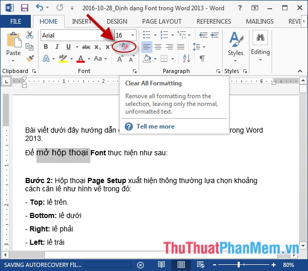 Font format in Word Picture 16