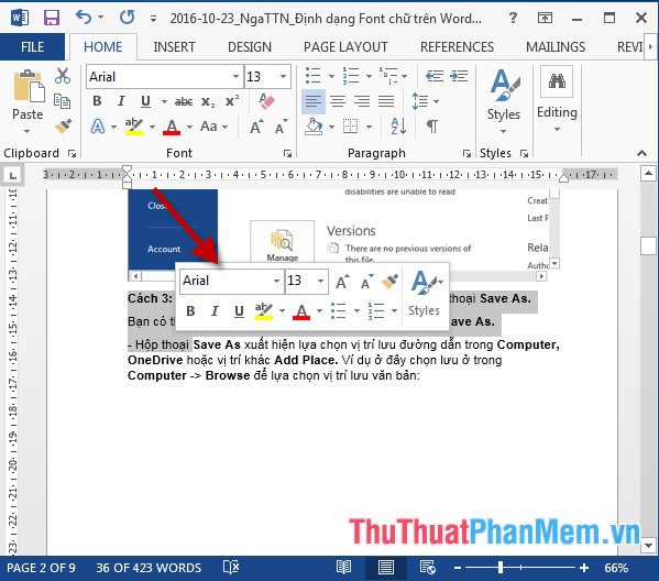 Font format on Word Picture 5