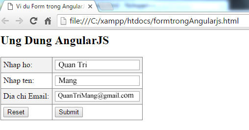 angularjs clear form data