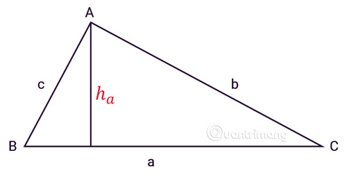 Formula to calculate the area of ​​a triangle: square, regular, balanced, and even Picture 11
