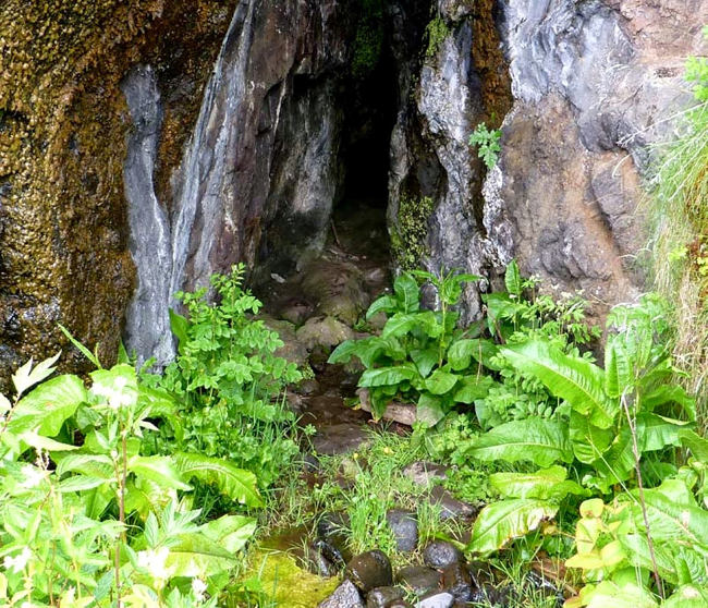 Found 50 human bones in the cave, the result of the worst family slaughter in Scotland Picture 2