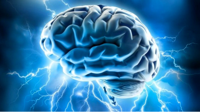 Found enzymes that eliminate cholesterol help prevent brain damage Picture 2