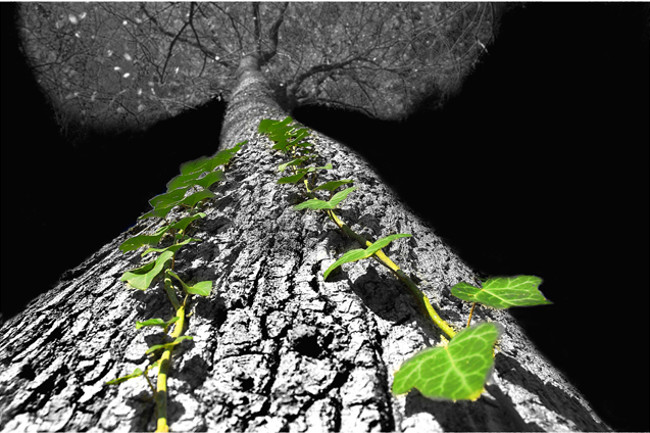 Founder of Acqueline Whitmore: 'Things that hinder an entrepreneur from reaching success' Picture 7