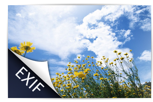 Free full set of editing products, photo design by Watermark Software Picture 5