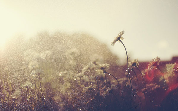 Full HD rain wallpaper for those you are sad Picture 30