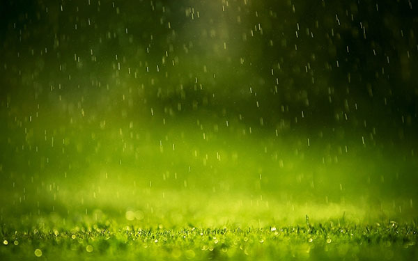 Full HD rain wallpaper for those you are sad Picture 8
