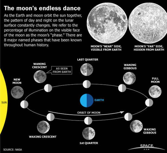 Full Moon facts - Full moon you may not know yet Picture 1