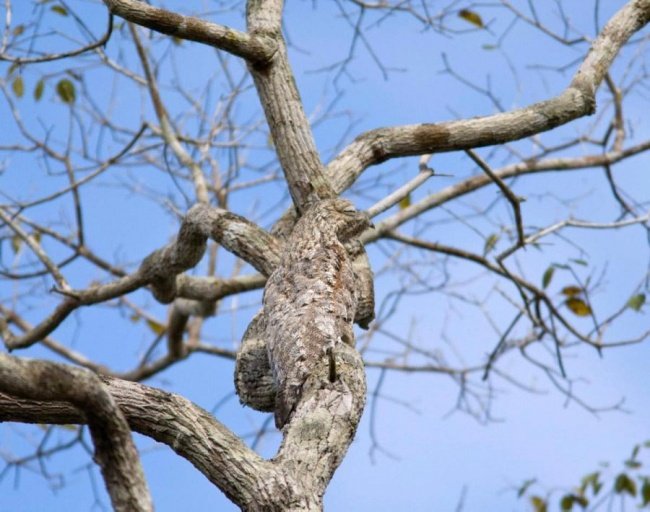 Fun science: Test your brain age through 6 pictures below! Picture 3