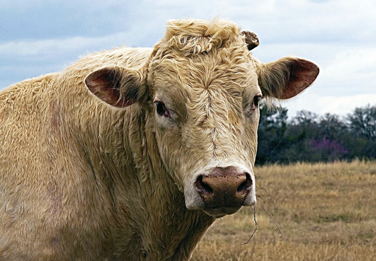 Fun things around Jeff Bezos's life - Amazon's founder and CEO Picture 2