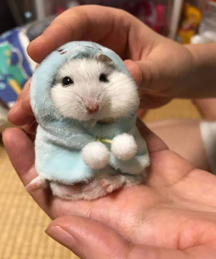 Funny photo series in Photoshop battle of photo developers (Part 2) Picture 13