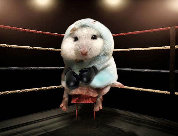 Funny photo series in Photoshop battle of photo developers (Part 2) Picture 14