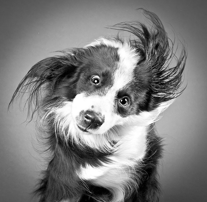 Funny photo series in Photoshop battle of photo developers (Part 2) Picture 23