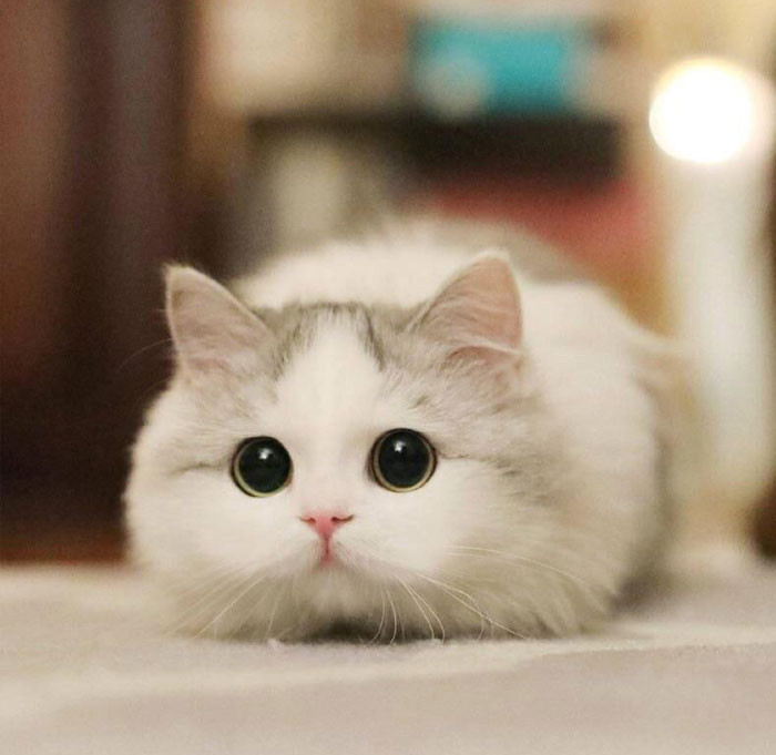 Funny photo series in Photoshop battle of photo developers (Part 2) Picture 27