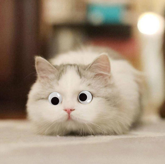 Funny photo series in Photoshop battle of photo developers (Part 2) Picture 28