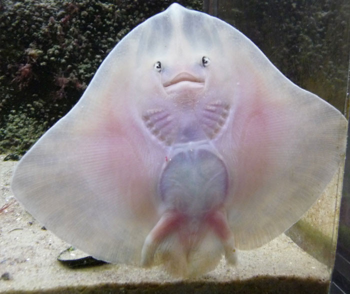 Funny photo series in Photoshop battle of photo developers (Part 2) Picture 29