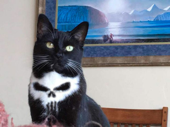 Funny photo series in Photoshop battle of photo developers (Part 2) Picture 31