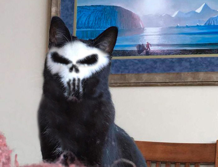 Funny photo series in Photoshop battle of photo developers (Part 2) Picture 32