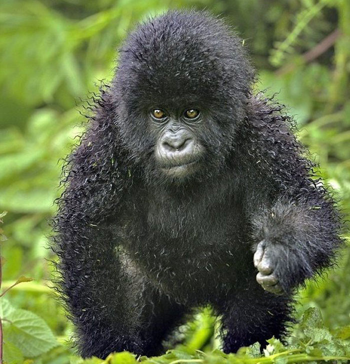 Funny photo series in Photoshop battle of photo developers (Part 2) Picture 35