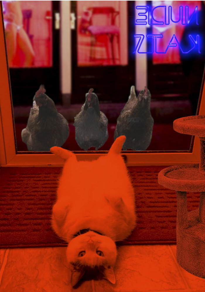 Funny photo series in Photoshop battle of photo developers (Part 2) Picture 4