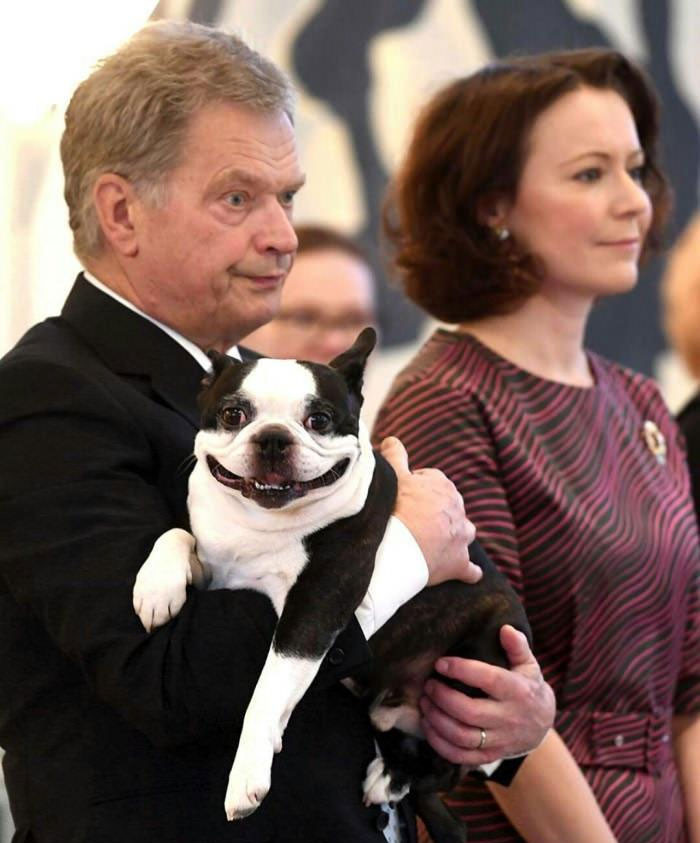 Funny photo series in Photoshop battle of photo developers (Part 2) Picture 45