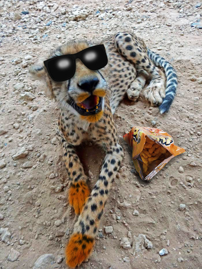 Funny photo series in Photoshop battle of photo developers (Part 2) Picture 48