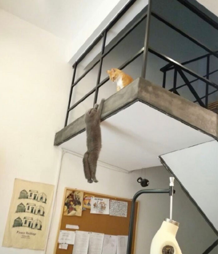 Funny photo series in Photoshop battle of photo developers (Part 2) Picture 49