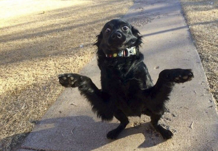 Funny photo series in Photoshop battle of photo developers (Part 2) Picture 5