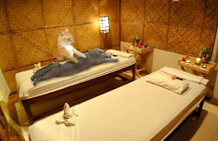 Funny photo series in Photoshop battle of photo developers (Part 2) Picture 50