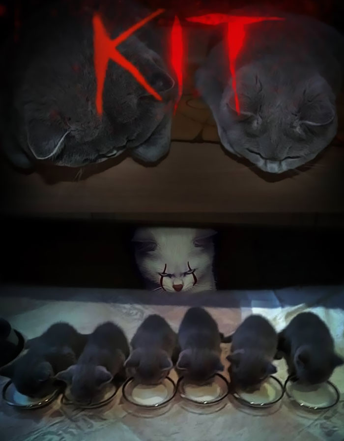 Funny photo series in Photoshop battle of photo developers (Part 2) Picture 52