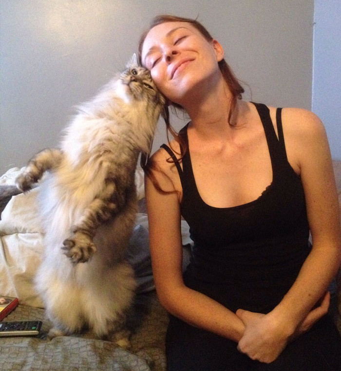 Funny photo series in Photoshop battle of photo developers (Part 4) Picture 11