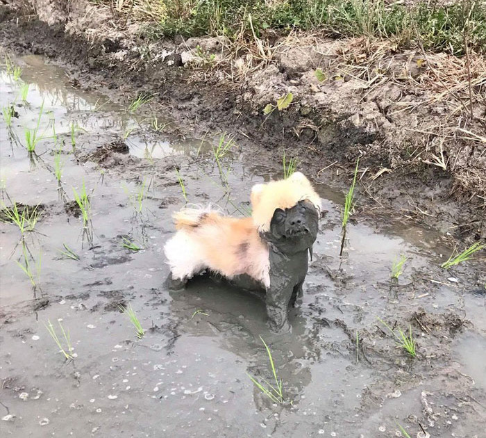 Funny photo series in Photoshop battle of photo developers (Part 4) Picture 15