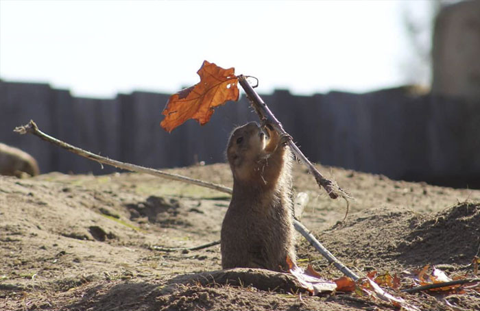 Funny photo series in Photoshop battle of photo developers (Part 4) Picture 25