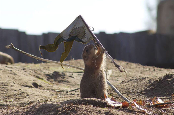 Funny photo series in Photoshop battle of photo developers (Part 4) Picture 26