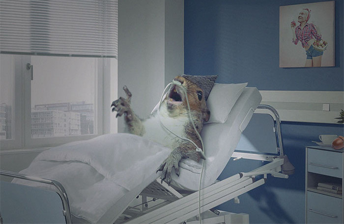 Funny photo series in Photoshop battle of photo developers (Part 4) Picture 34