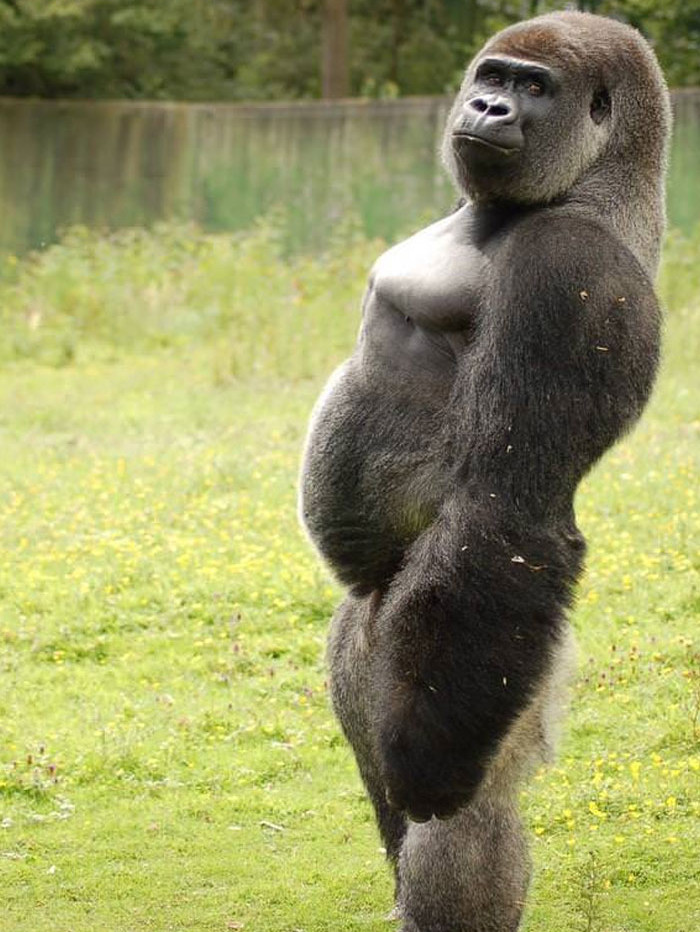 Funny photo series in Photoshop battle of photo developers (Part 4) Picture 41