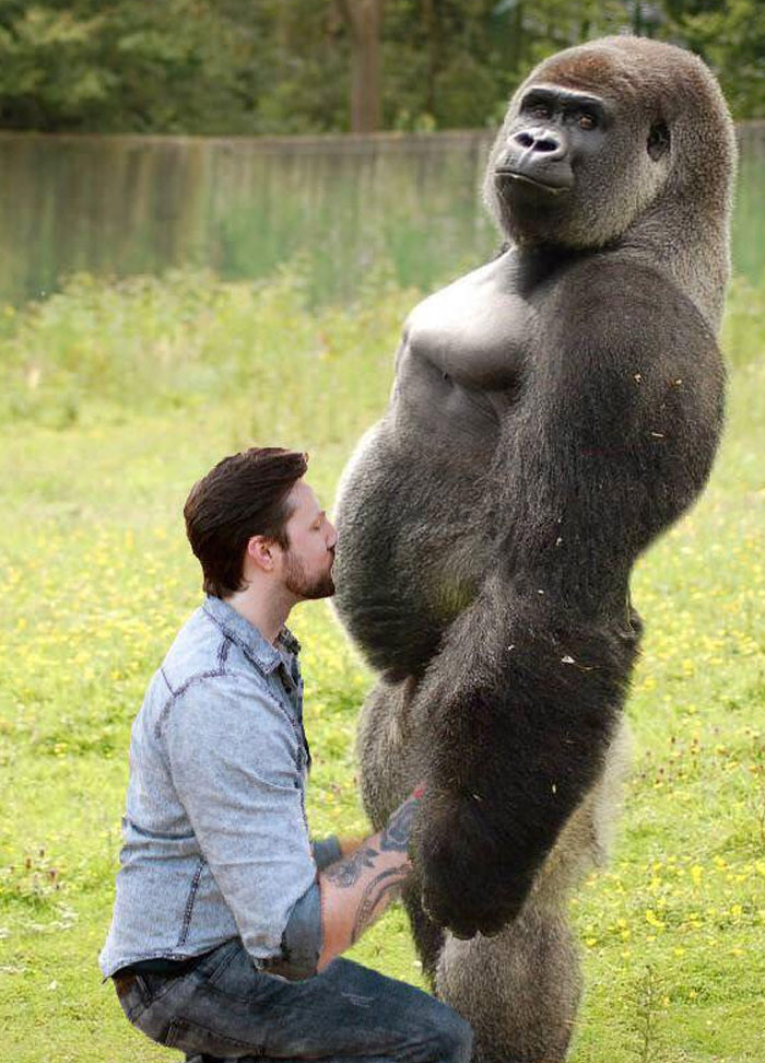 Funny photo series in Photoshop battle of photo developers (Part 4) Picture 42