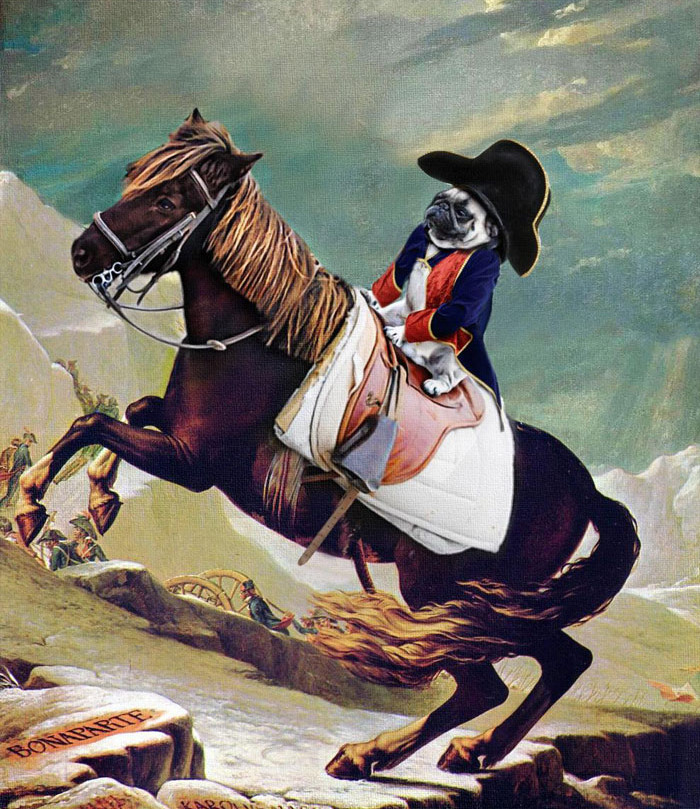 Funny photo series in Photoshop battle of photo developers (Part 4) Picture 44