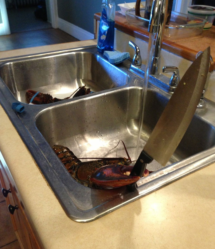 Funny photo series in Photoshop battle of photo developers (Part 4) Picture 45