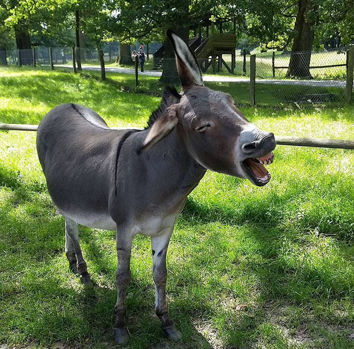 Funny photo series in Photoshop battle of photo developers (Part 4) Picture 51