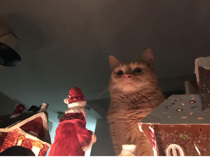 Funny photo series in Photoshop battle of photo developers (Part 4) Picture 53