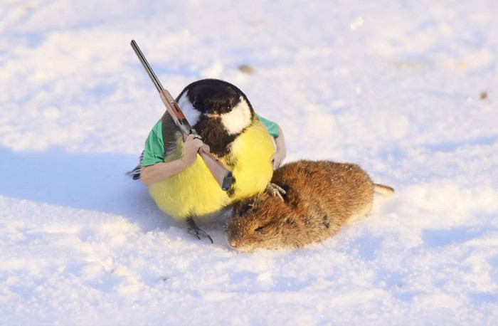 Funny photo series in Photoshop battle of photo-making experts (Part 1) Picture 16