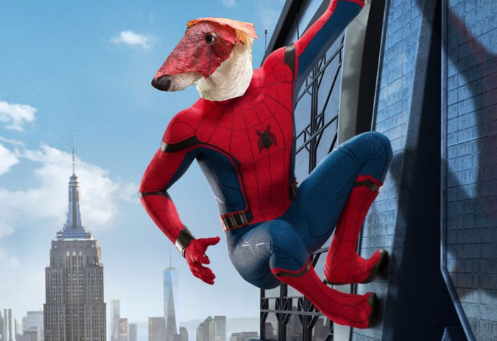 Funny photo series in Photoshop battle of photo-making experts (Part 1) Picture 18