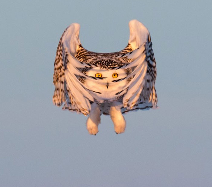 Funny photo series in Photoshop battle of photo-making experts (Part 1) Picture 30