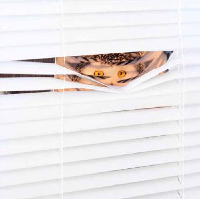 Funny photo series in Photoshop battle of photo-making experts (Part 1) Picture 31