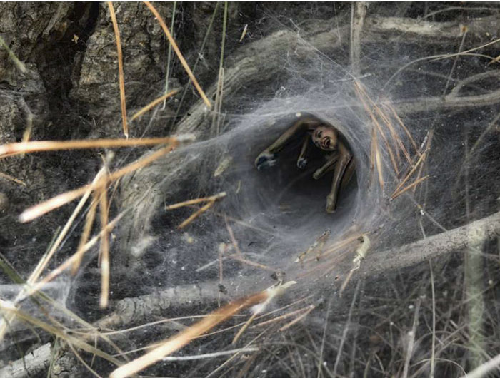 Funny photo series in Photoshop battle of photo-making experts (Part 1) Picture 33