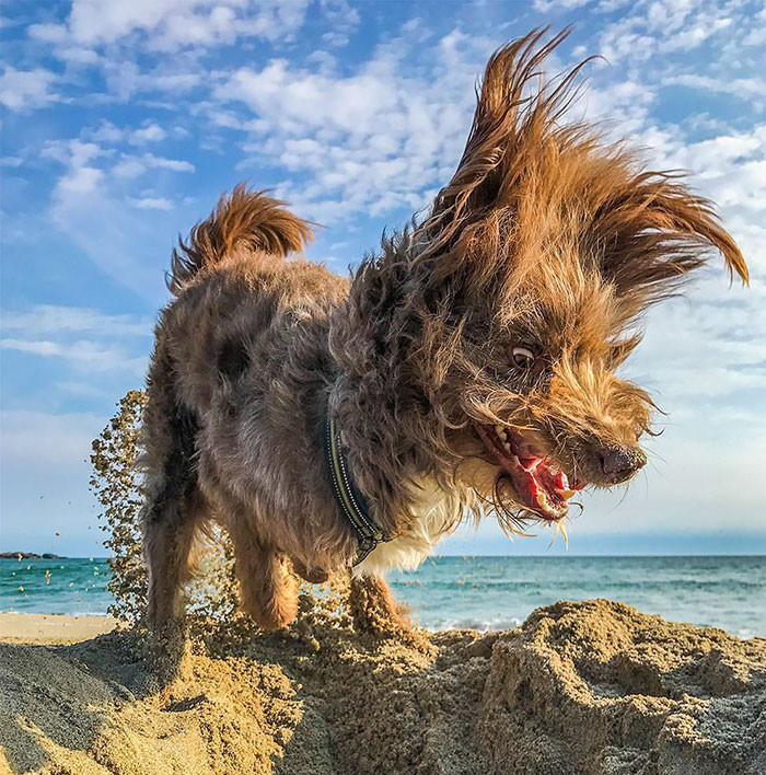 Funny photo series in Photoshop battle of photo-making experts (Part 1) Picture 36