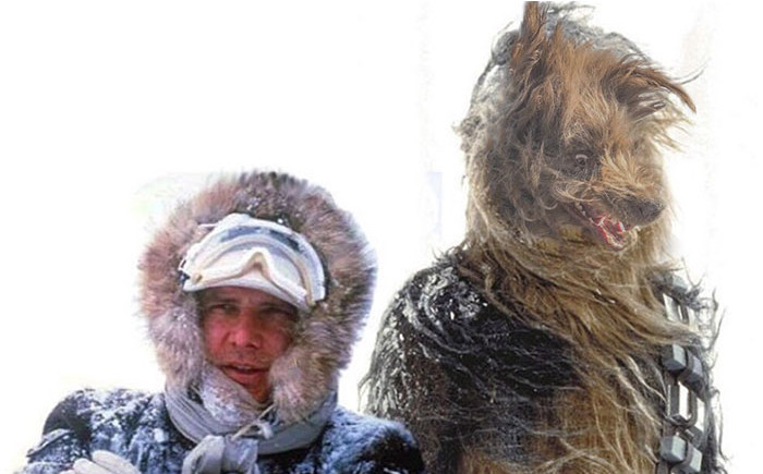 Funny photo series in Photoshop battle of photo-making experts (Part 1) Picture 37