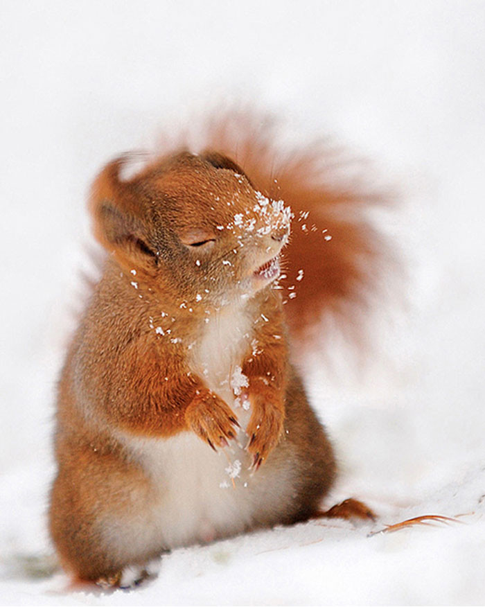 Funny photo series in Photoshop battle of photo-making experts (Part 1) Picture 38