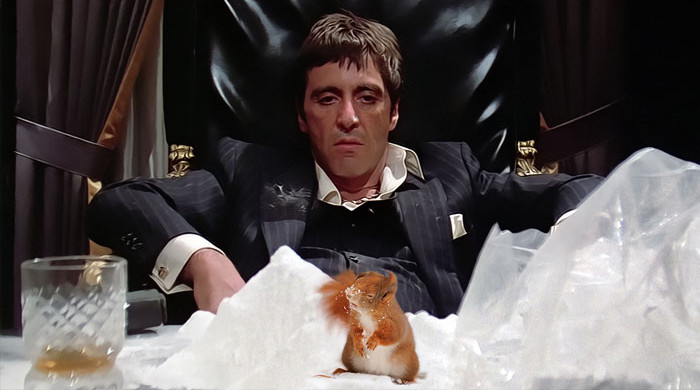 Funny photo series in Photoshop battle of photo-making experts (Part 1) Picture 39